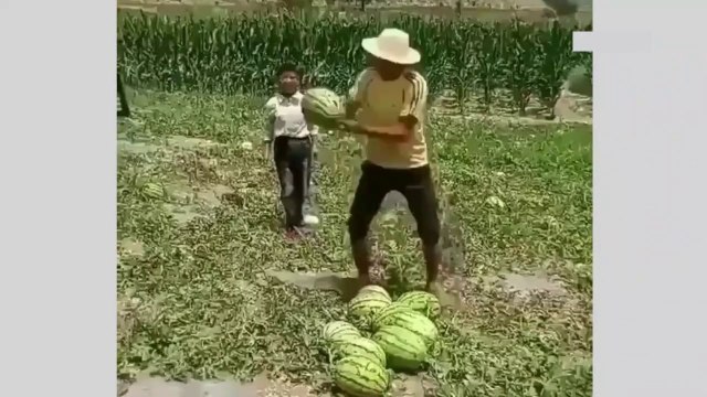 The fastest workers are high - level experts and professionals