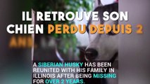 Il retrouve son chien perdu depuis 2 ans, la réaction du toutou le fait exploser de rire !