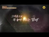 배우 김수미 그녀의 첫 인생다큐_인생다큐 마이웨이 120회 예고
