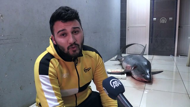 Mersin'de 6 metre boyunda köpek balığı yakalandı