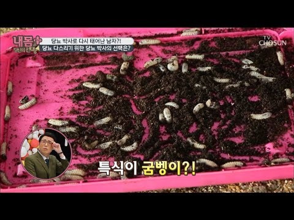 특식이 굼벵이? 당뇨 다스리는 당뇨 박사의 선택! [내 몸 플러스] 118회 2018...