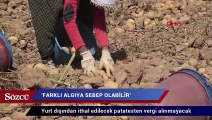 Soylu: Patates ithalatı nedeniyle çiftçiler endişeli