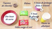 Comment faire des sucettes glacées avec le melon d'eau | Watermelon Pops in French