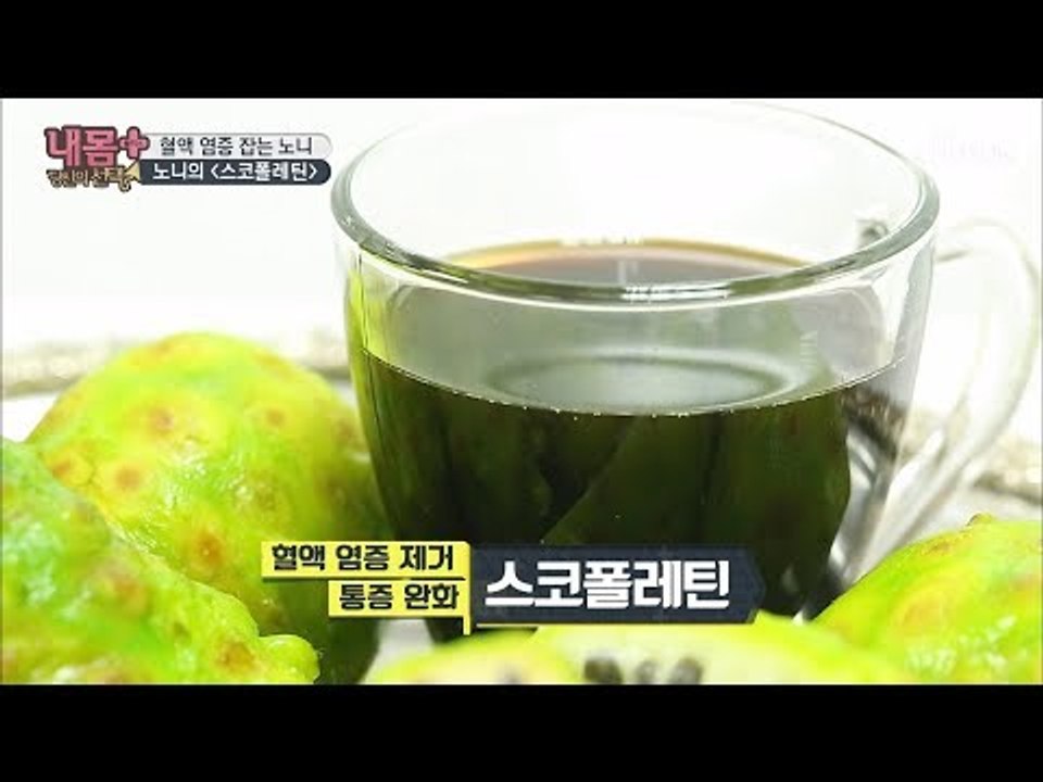 염증 제거에 통증 완화까지! 혈액 염증 청소부 ‘노니’ [내 몸 플러스] 126회 2...