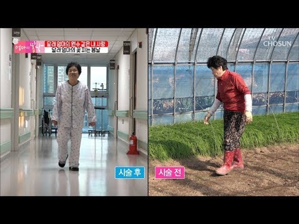 달래엄마의 꽃 피는 봄날~ 허리 시술 전후의 모습은? [엄마의 봄날] 167회 201...