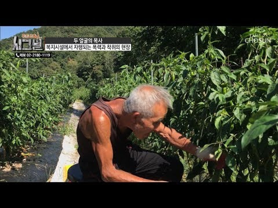 일하고 임금을 못 받는다? 하루 종일 일하는 할아버지! [시그널] 47회 20181024