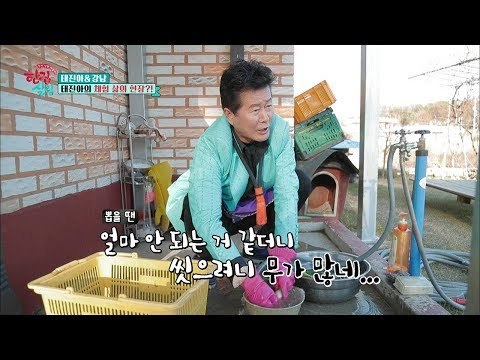 태진아의 체험 삶의 현장?! 배추는 아무나 뽑나~♬ [한집 살림] 8회 20181212