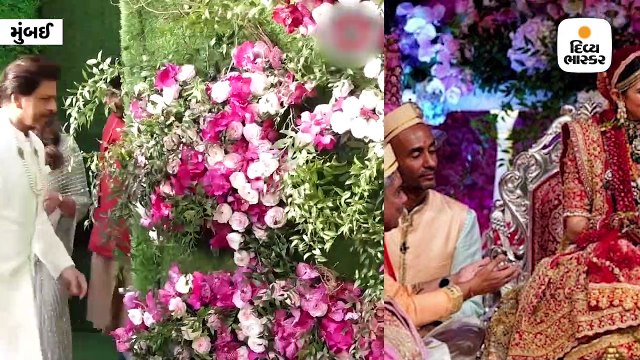 આકાશના લગ્નમાં સચિન અને અંજલિને અંબાણીના ડૉગીએ આપ્યું હતું યુનિક વેલકમ