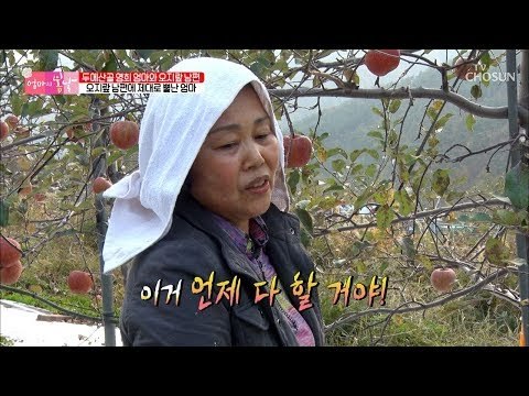 “이거 언제 다 할 거야!” 오지랖 남편에 뿔난 영희 엄마! [엄마의 봄날] 168회 20181202