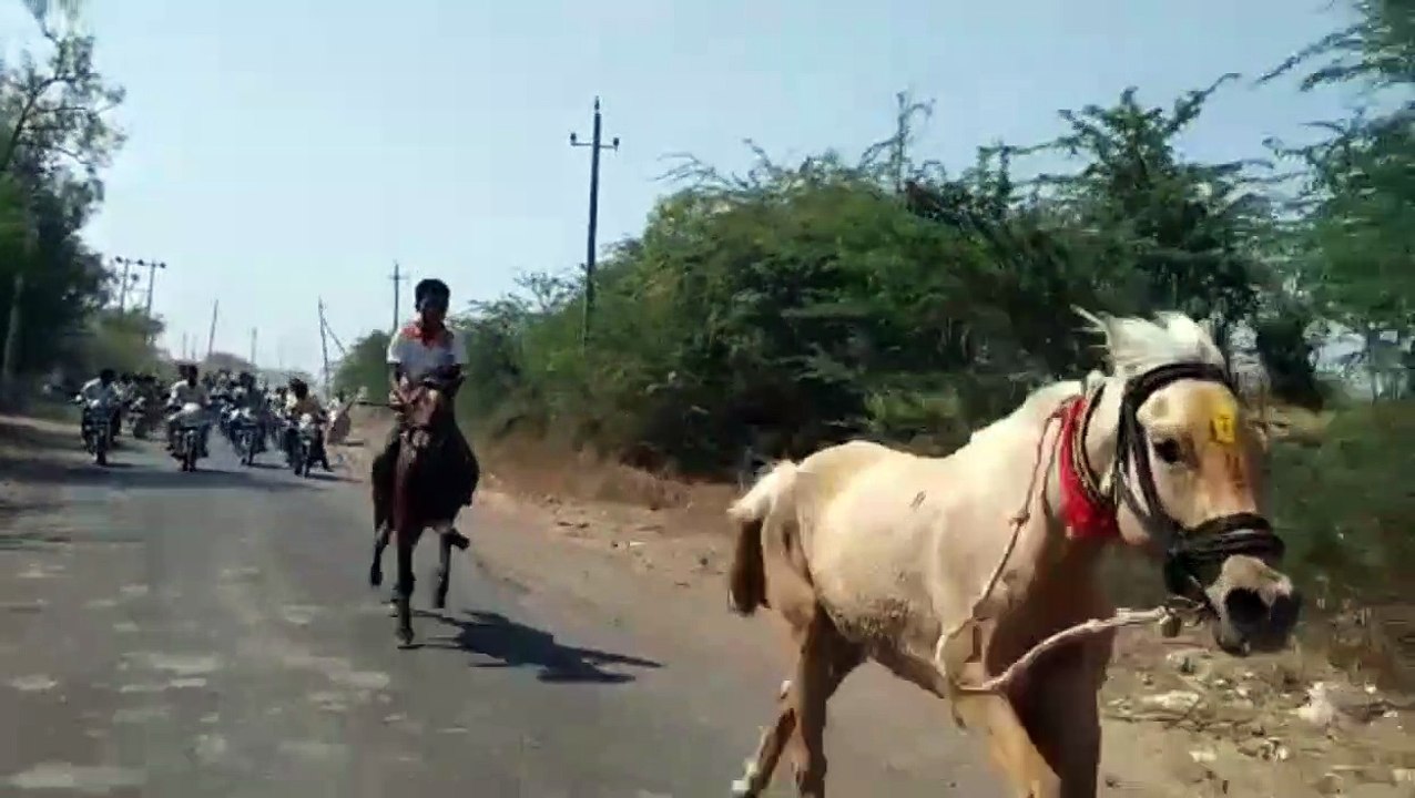 Astonishing moment Indian jockey manages to get back on saddle after falling from his horse