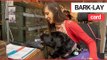Assistance dog helps a young disabled woman pay for her shopping! | SWNS TV