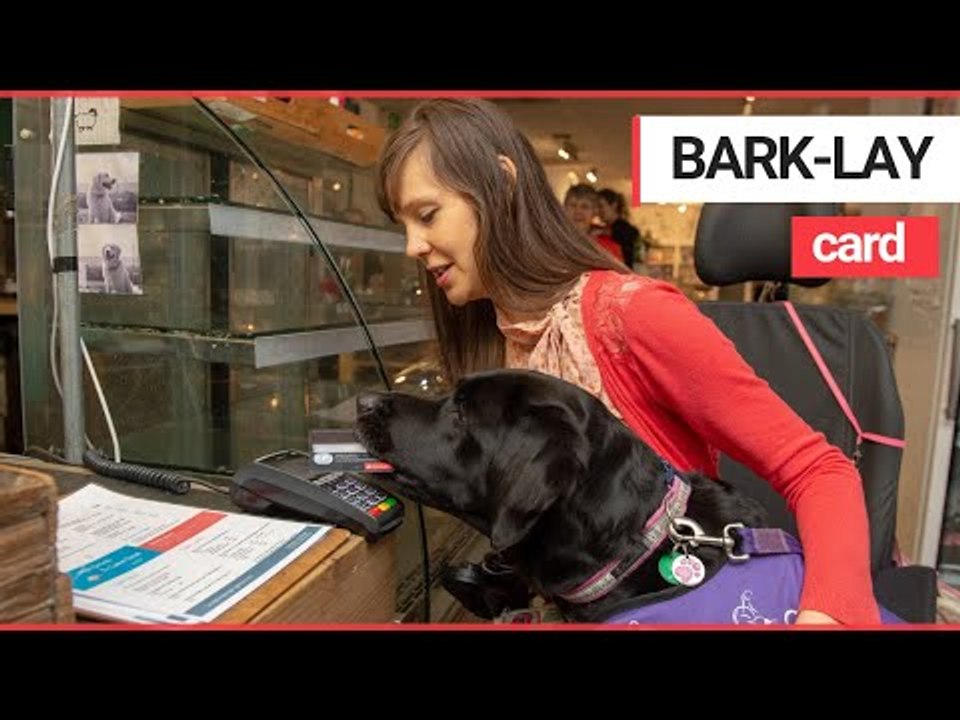 Assistance dog helps a young disabled woman pay for her shopping! | SWNS TV