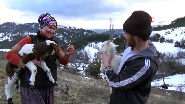 - Baharın gelişini çocukları gibi sevdikleri koyunlarıyla karşıladılar