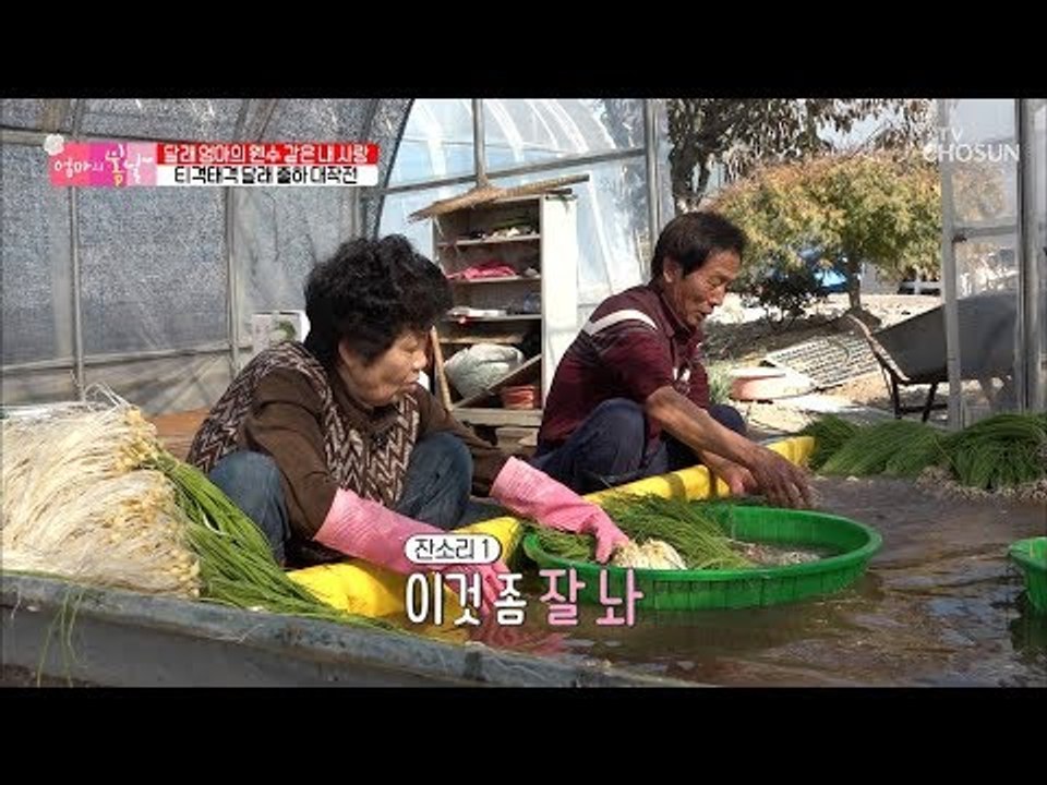 한 상자 담는데 세월아 네월아~ 잔.소.리 적립 완료! [엄마의 봄날] 167회 20...