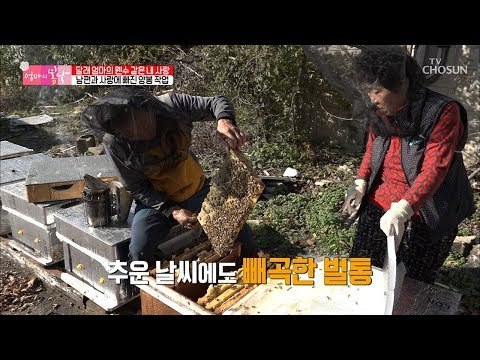 험한 산길을 헤치고! 도착한 곳의 정체는? [엄마의 봄날] 167회 20181125