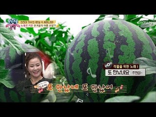 노래로 키운 한겨울의 여름 과일?! 흥이 절로~ 온실 속 세레나데! [모란봉 클럽] 166회 20181209