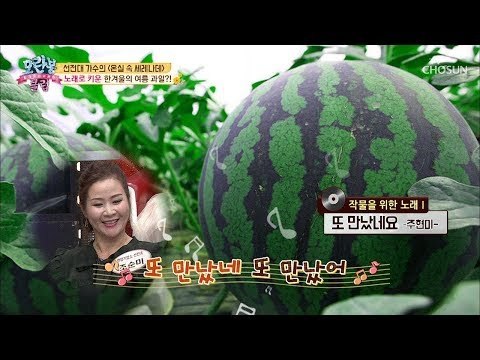 노래로 키운 한겨울의 여름 과일?! 흥이 절로~ 온실 속 세레나데! [모란봉 클럽] 166회 20181209