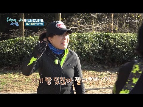 “짤라뽕빵(?) 같다~” 사연 녹차 밭 보고 생각 난 빵은? [두 번째 서른] 4회 20190123
