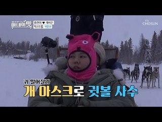 마미손 닮은꼴?! O.K 계획대로 되고 있어! 익스트림 개썰매 [아내의 맛] 34회 20190212