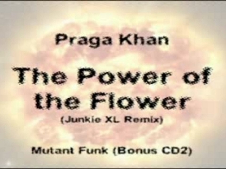 Praga Khan - Power of the Flower (Junkie XL Remix)