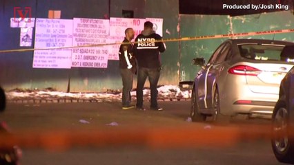 Reputed Gambino Crime Family Boss Shot Dead Outside New York Home