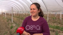 Ora News - Njihuni me 34-vjeçaren që la profesionin e financieres për të krijuar fermën