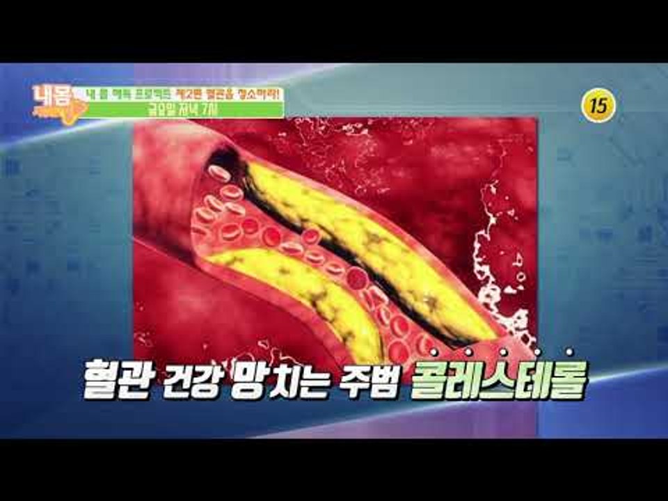 내 몸 해독 프로젝트 제2편 혈관을 청소하라!_내 몸 사용설명서 236회 예고