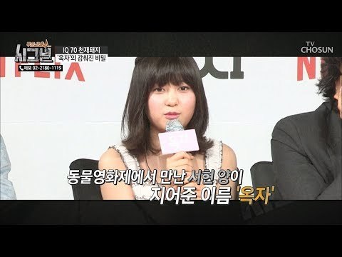 IQ 70 돼지 ‘옥자’의 감춰진 비밀? (feat. 배우 안서현) [시그널] 58회 20190116
