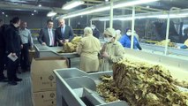 Tarım ve Orman Bakanı Pakdemirli - Buğday ve arpa fiyatında çiftçiye müjde - İZMİR
