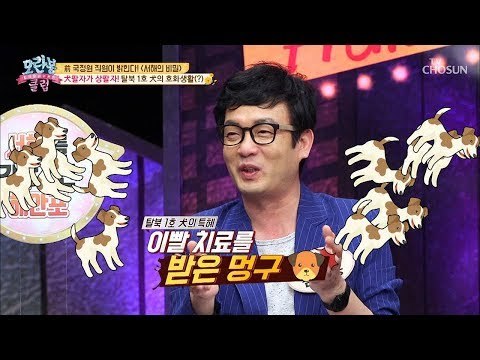 첫 탈북犬?! 탈북 1호 犬의 호화생활(?) [모란봉 클럽] 174회 20190210