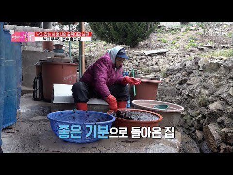 “우리가 복이 있어~”낙지부부의 운수 좋은 날! [엄마의 봄날] 173회 20190106