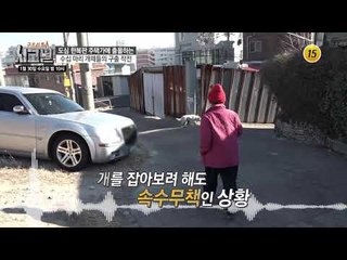 수십 마리 개떼들의 구출 작전_시그널 60회 예고
