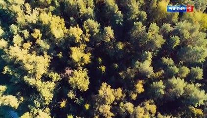 Скажи правду 8 серия (2019)