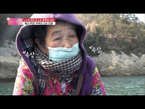 “사람을 좀 보고해야지” 부부의 선상 전쟁 한바탕! [엄마의 봄날] 179회 20190217