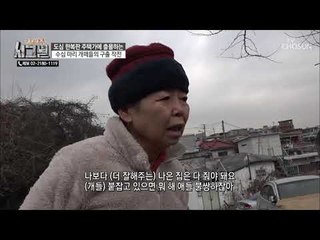 52마리 반려견들 구출 작전! 해결책은? [시그널] 60회 20190130