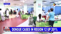 Dengue cases in Region 12 up 201%