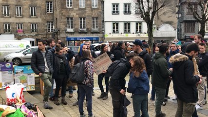 Morlaix. 250 personnes défendent la planète