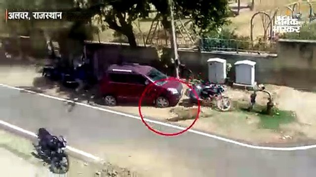 रिहायशी इलाके में घुसा पैंथर