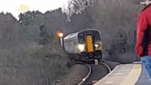 Dog Caught on Camera 'Leading' Delayed Train into the Station