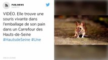 Elle trouve une souris vivante dans l’emballage de son pain dans un Carrefour des Hauts-de-Seine