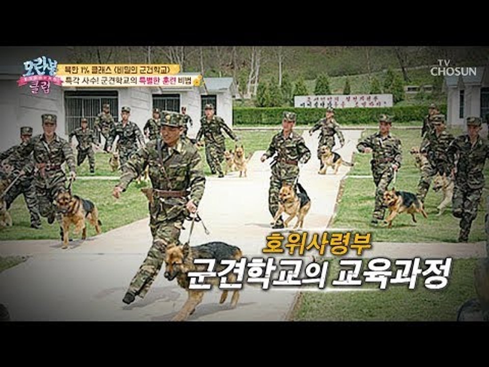 [선공개] 북한 1퍼센트 클래스! 비밀의 군견학교 특각 사수 [모란봉 클럽] 177회...
