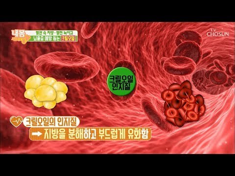 뇌졸중 원인 ‘활성산소’ 제거하는 비법 공개? [내 몸 사용설명서] 241회 20190301
