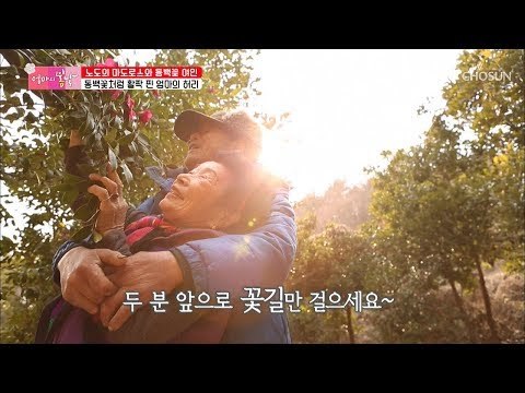 꽃처럼 활짝 핀 엄마의 허리! 아름다운 동백꽃 데이트! [엄마의 봄날] 179회 20190217