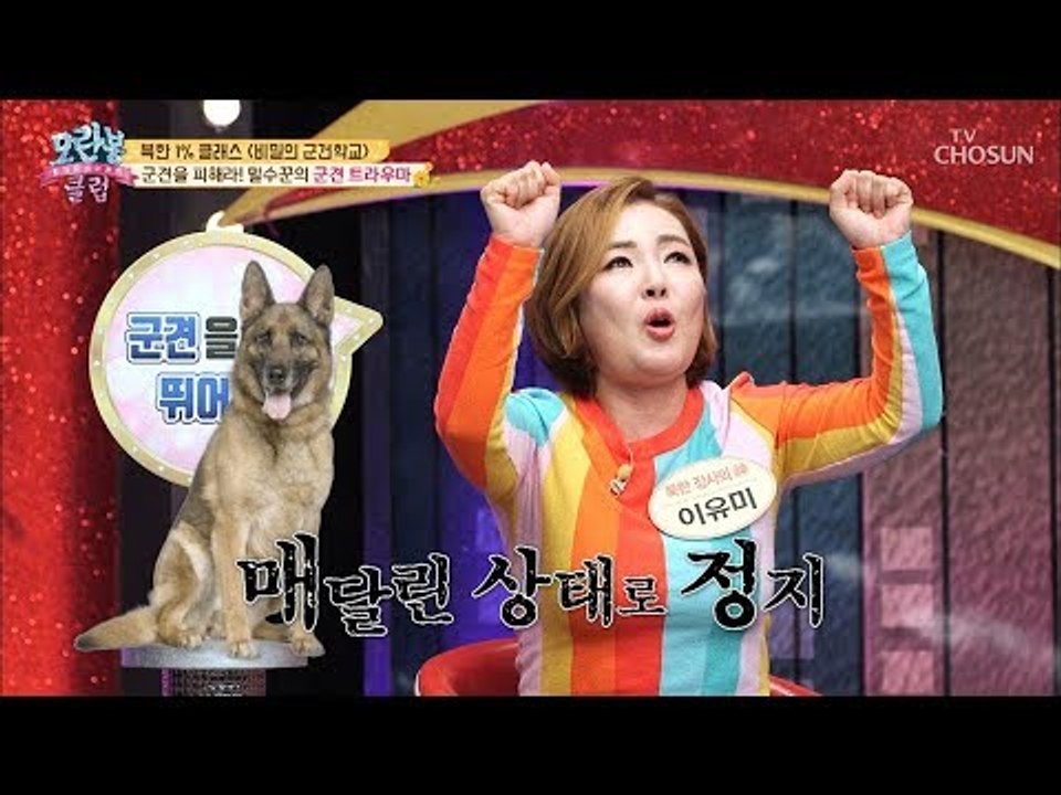 군견을 피해라! 국경 경비대에서 잡힌 밀수꾼의 최후는? [모란봉 클럽] 177회 20...