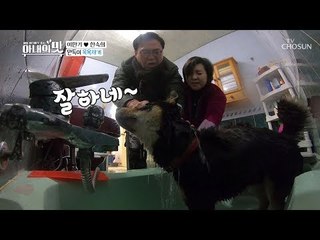 “옷 다 배려삣다” 만득이 목욕재계 대소동! [아내의 맛] 35회 20190219