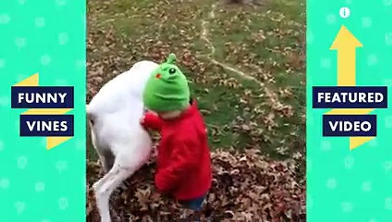 TRY NOT TO LAUGH Cute FUNNY ANIMALS Funny Videos March 2019