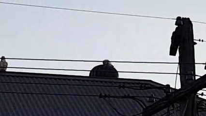 Whirlybird Roof Vent Lives up to Its Name