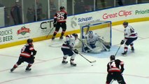 Fort Wayne Komets 3 Kalamazoo Wings 2