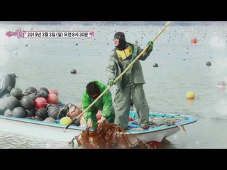 창금 엄마의 두 남자_엄마의 봄날 181회 예고