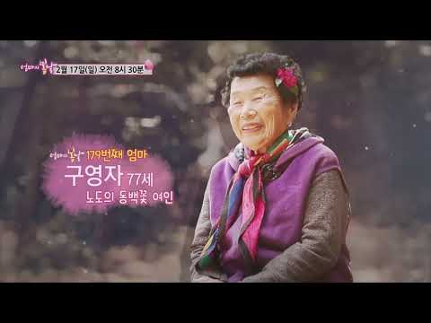 노도의 마도로스와 동백꽃 여인_엄마의 봄날 179회 예고